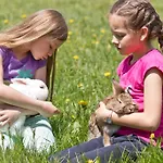 مزرعة للإقامة Zittrauerhof - Urlaub Am Bauernhof Gastein باد هوفغاستين