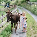 Zittrauerhof - Urlaub Am Bauernhof Gastein مزرعة للإقامة *