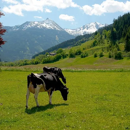 Zittrauerhof - Urlaub Am Bauernhof Gastein Фермерский дом