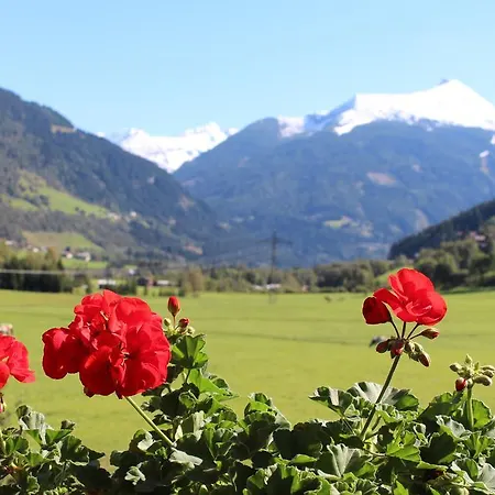 Zittrauerhof - Urlaub Am Bauernhof Gastein *