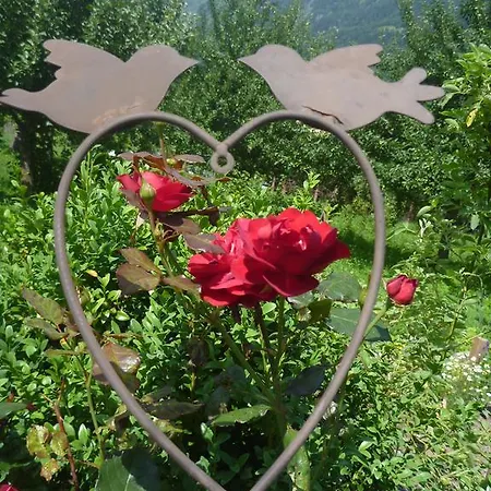 Zittrauerhof - Urlaub Am Bauernhof Gastein * バート・ホーフガシュタイン