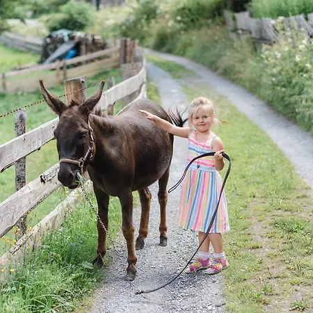 Zittrauerhof - Urlaub Am Bauernhof Gastein ファームステイ *