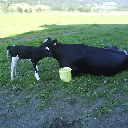 Zittrauerhof - Urlaub Am Bauernhof Gastein
