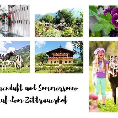 Zittrauerhof - Urlaub Am Bauernhof Gastein Фермерский дом